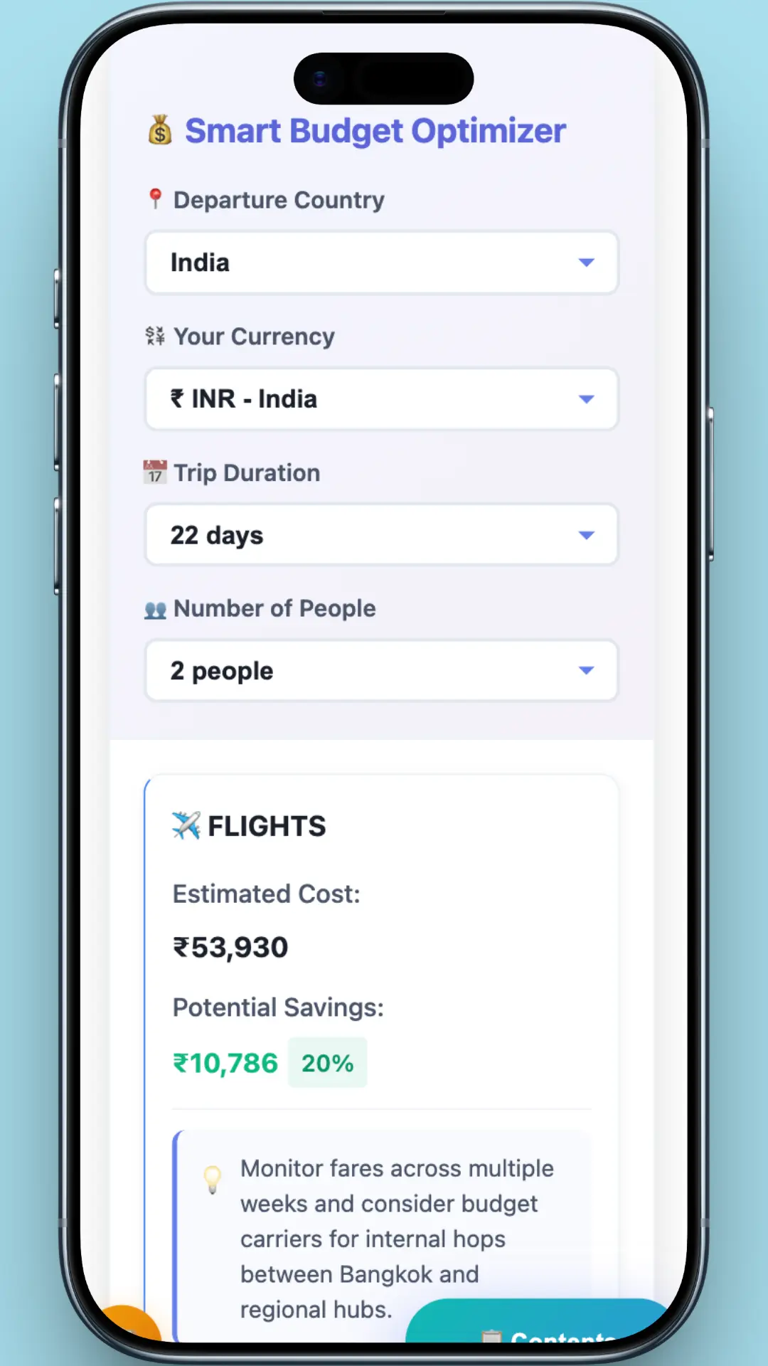 Budget optimizer tool